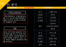 ISP수립계획 [REMITITE].ppt 19페이지