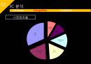 ISP수립계획 [REMITITE].ppt 20페이지
