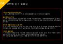 ISP수립계획 [REMITITE].ppt 41페이지