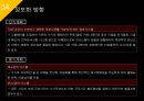 ISP수립계획 [REMITITE].ppt 42페이지