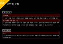 ISP수립계획 [REMITITE].ppt 43페이지