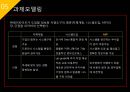 ISP수립계획 [REMITITE].ppt 49페이지