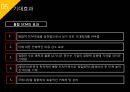 ISP수립계획 [REMITITE].ppt 60페이지