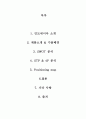 인도네시아 2페이지