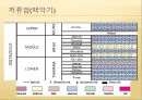 [에너지 자원 공학] 이라크 중앙아라비안 분지 (Central Arabian Province).PPT자료 26페이지