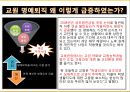 교사 명예퇴직 현황.pptx 13페이지
