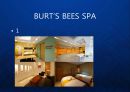 [버츠비] Burt`s Bees(버츠비) 친환경 프리미엄 화장품 브랜드 버츠비의 윤리경영과 브랜드 마케팅 전략 (코스메틱).ppt 11페이지