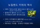 [Zespri] 뉴질랜드 키위 세계화를 이뤄낸 제스프리(Zespri)의 글로벌 프리미엄 마케팅과 한국진출.ppt 7페이지