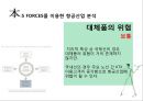 대한항공 MIS(경영정보시스템) 적용사례연구 (담당자인터뷰포함).PPT자료 10페이지