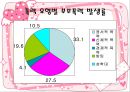 가정폭력  14페이지