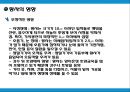 황사현상분석 10페이지