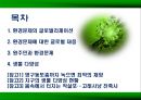 환경문제의 글로벌리제이션과 글로벌 대응.PPT자료 2페이지