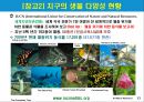 환경문제의 글로벌리제이션과 글로벌 대응.PPT자료 13페이지