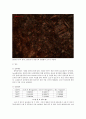 [신소재공학] Cu(구리)의 소결온도에 따른 물성 변화 (500, 700 ,900도) 12페이지