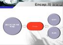 Flexible Display 상용화를 위한 Encapsulation 기술의 개선 방안 13페이지