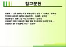 외환위기와환율,외환위기의원인,외환위기결과 17페이지