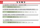 유니클로,UNIQLO,유니클로마케팅,유니클로분석,유니클로전략,유니클로마케팅전략,유니클로경쟁사,SPA,패스트패션 12페이지