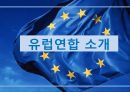 유럽연합 (EU),유럽연합 소개, 역사, 구조와 기구, 정책, 의의, 한계 3페이지