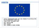 유럽연합 (EU),유럽연합 소개, 역사, 구조와 기구, 정책, 의의, 한계 4페이지