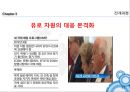 유로존의 위기,국제경영학의 이해 15페이지