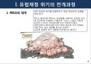 유럽의 재정위기 전개과정과 한국경제에 미치는 영향 4페이지