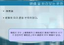 (A+) [한의학] 두통에 대한 개념 & RCT논문해석 발표 Acupuncture for Patients With Migraine -A Randomized Controlled Trial.pptx 59페이지