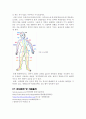 보완대체의학 - 마사지 & 지압 & 응용운동 (정의, 개념, 역사, 인물, 원리와 효과, 종류 및 활용, 관련 연구, 한의학과의 비교 및 활용방안) 12페이지