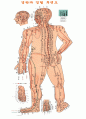 보완대체의학 - 마사지 & 지압 & 응용운동 (정의, 개념, 역사, 인물, 원리와 효과, 종류 및 활용, 관련 연구, 한의학과의 비교 및 활용방안) 17페이지