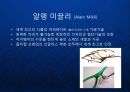 [알랭미끌리] 프랑스 명품 안경 - 알랭 미끌리(Alain Mikli) 글로벌 브랜드 포트폴리오 성장 전략 발표.ppt 9페이지