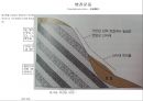 자연재해와 방재 5장 산사태(Landslide).PPT자료 10페이지