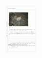 [지구과학] 건지산(전북 건지산 일대) 야외활동 보고서 (관찰사항의 기술 및 해석) 3페이지