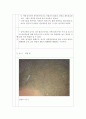 [지구과학] 건지산(전북 건지산 일대) 야외활동 보고서 (관찰사항의 기술 및 해석) 5페이지