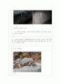 [지구과학] 건지산(전북 건지산 일대) 야외활동 보고서 (관찰사항의 기술 및 해석) 6페이지