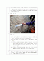 [지구과학] 건지산(전북 건지산 일대) 야외활동 보고서 (관찰사항의 기술 및 해석) 8페이지