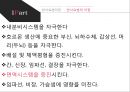 [대체의학,의학,민간요법] 반사요법 정리 ppt 6페이지