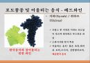 와인과 음료 9페이지