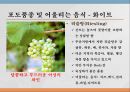 와인과 음료 13페이지