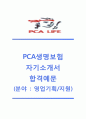 [PCA생명 (영업기획/지원) 자기소개서] PCA생명 자소서+[면접기출문제]_PCA생명보험자기소개서_PCA생명보험자소서_PCA생명합격자기소개서_PCA생명채용자소서_PCA생명공채자기소개서 1페이지