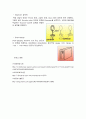 [열역학] 온도계(溫度計 / thermometer)와 압력계 (壓力計 / manometer) 4페이지