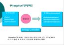 [화학공학] sol-gel(졸-겔)에 관해 - History, Definition of sol-gel, Product of sol-gel.ppt 44페이지
