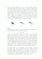 [유체역학 실험] 풍동 실험 : 풍동 실험을 통해 익형 주변의 유동특성을 알아본다. 2페이지
