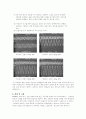 [통신공학 실험] VCO(Voltage Controlled Oscillator) & LM 565/ LM 565C 5페이지