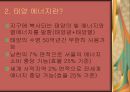 태양 에너지의 활용 5페이지