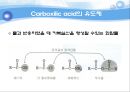 유기실험 - Ester 계 향료의 합성(Fischer Esterification)Pentyl acetate의 합성 - 산 세기에 영향을 미치는 중요한 요인 15페이지