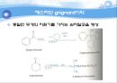 유기실험 - Ester 계 향료의 합성(Fischer Esterification)Pentyl acetate의 합성 - 산 세기에 영향을 미치는 중요한 요인 56페이지
