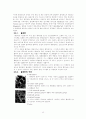 화학공학 - 흡착[Absorption] 실험 13페이지