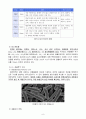환경과 인간 - 수질오염에 관한 보고서 8페이지