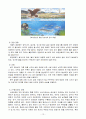 환경과 인간 - 수질오염에 관한 보고서 13페이지