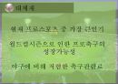롯데자이언츠 구단운영 경영전략분석및 롯데자이언츠 SWOT분석 (스피치대본포함)   25페이지