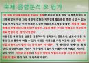 제15회 하동 야생차문화축제 분석&평가 - 함께하는 그린, 풍경이 있는 문학 (야생차 문화축제 개최배경, 하동 야생차문화축제 기획, 하동 야생차문화축제 프로그램 기획).pptx 7페이지
